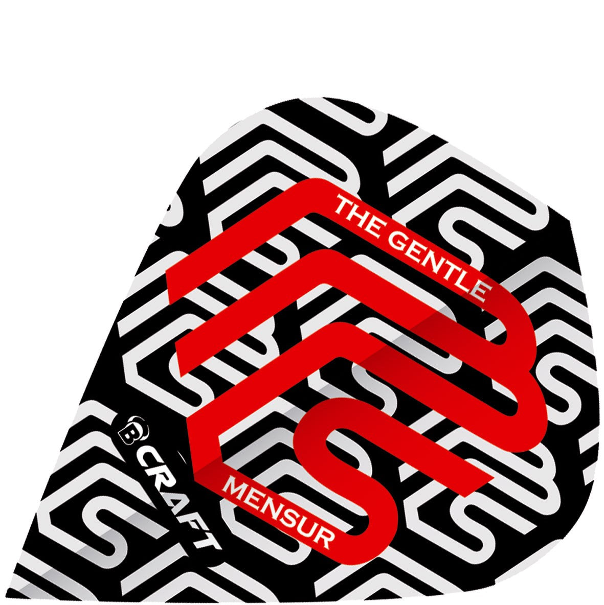 BULL'S B-Craft Flights Mensur Suljovic | Kite