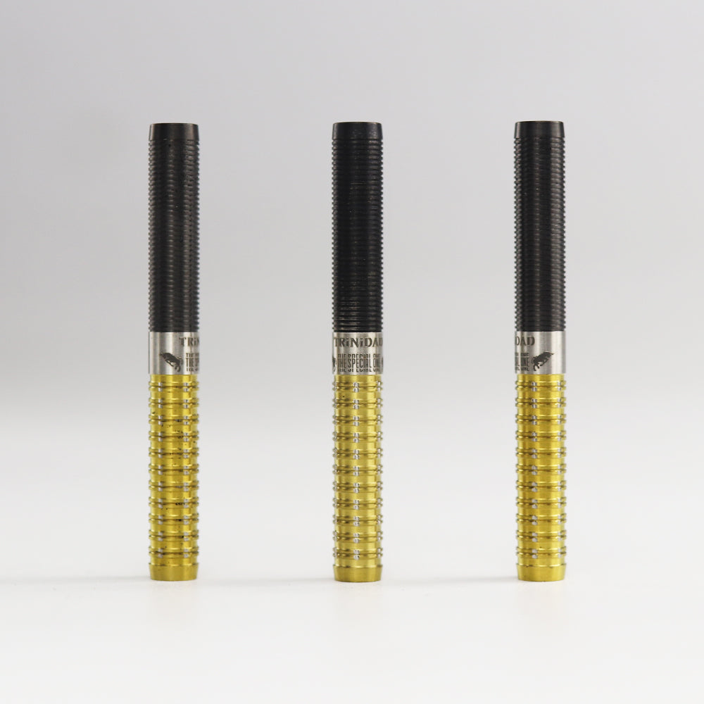 Jose de Sousa Limited Edition Softdarts Trinidad Type2 selten Top neu